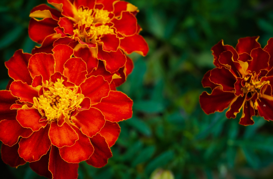 Tiêu đề bài viết tạp chí ấn phẩm 2